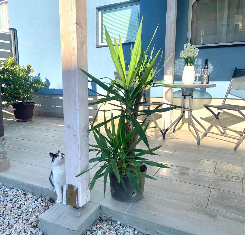Kisvakond Vendeghaz Apartment Jeno Bagian luar foto