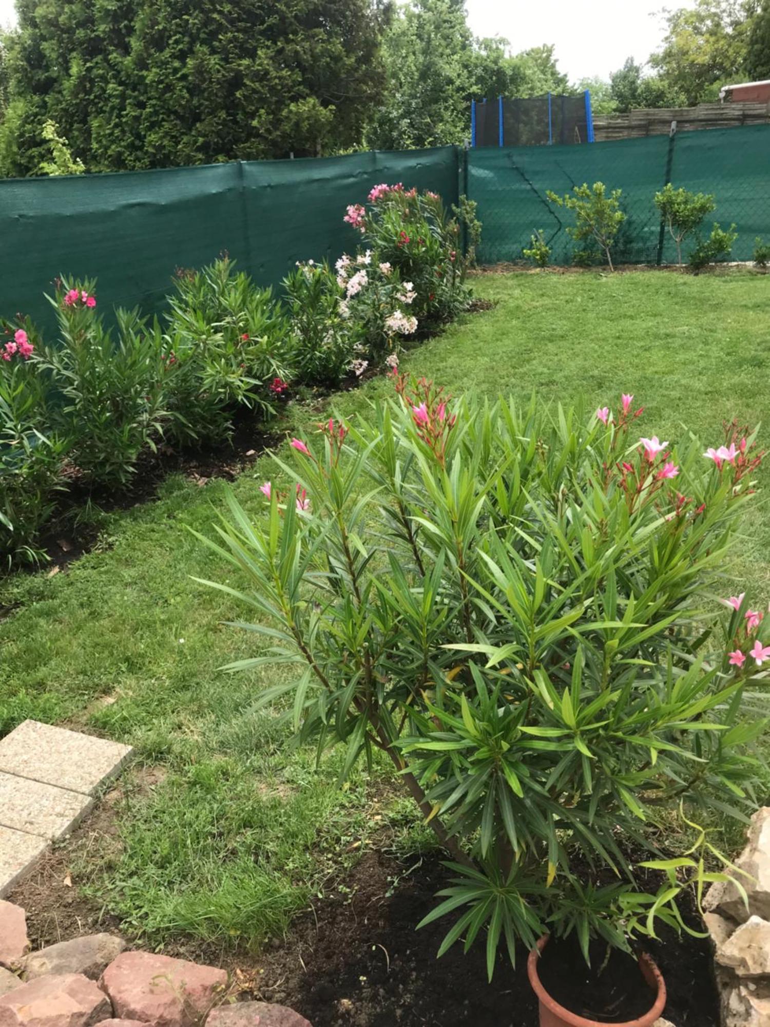 Kisvakond Vendeghaz Apartment Jeno Bagian luar foto